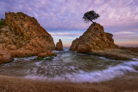 ビーチ, 岩, 海, スペイン, 木