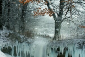 フローズン, 氷, 自然, 雪, 木, 冬