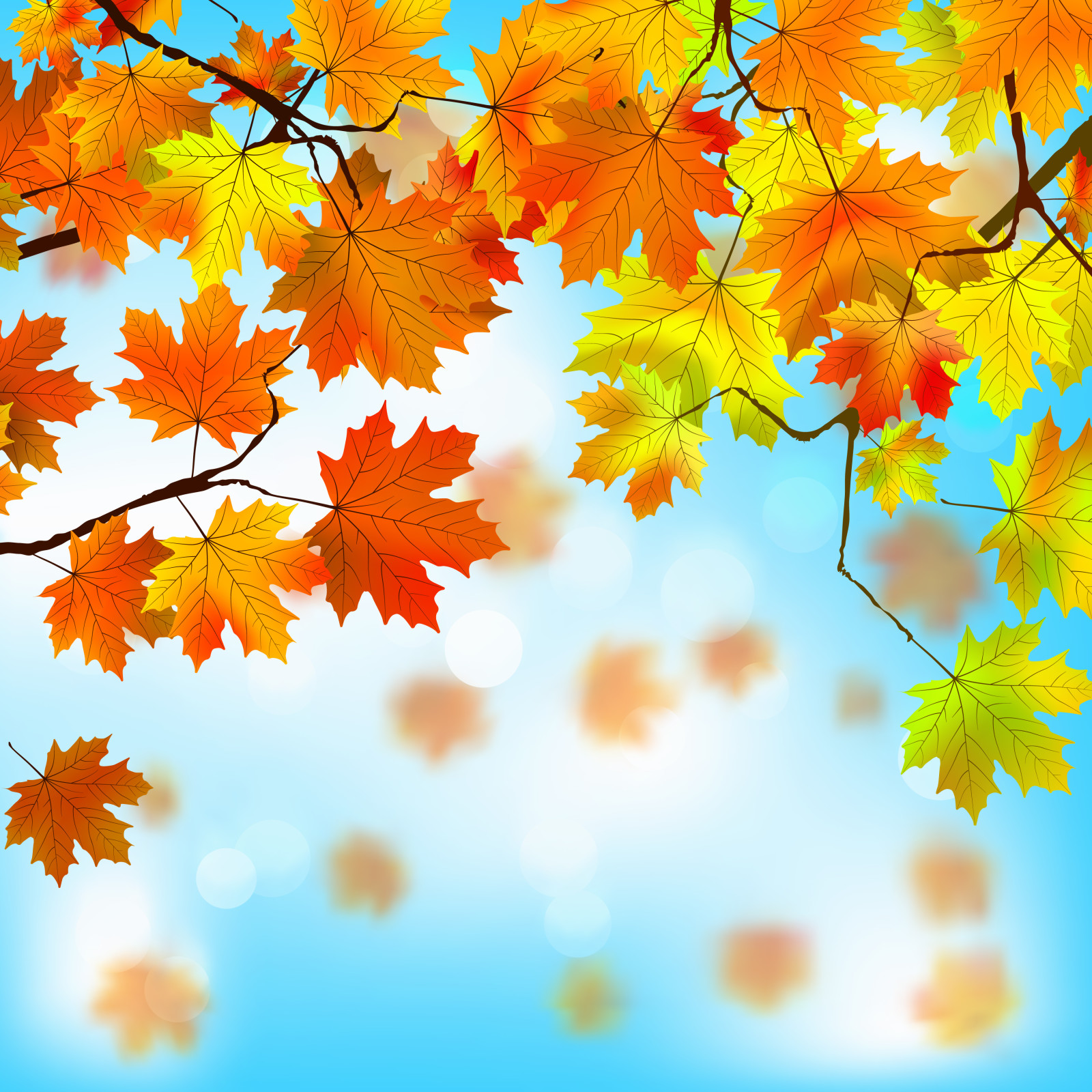 가을, 배경, 이파리, 단풍