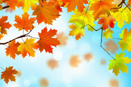 가을, 배경, 이파리, 단풍