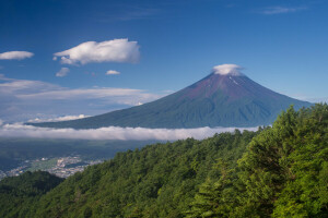 雲, 富士山, 日本, 風景, 山, 空, 木