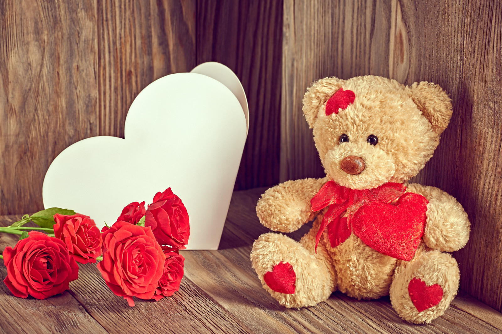 cinta, romantis, hari Valentine, mawar, beruang, bunga-bunga, jantung, teddy