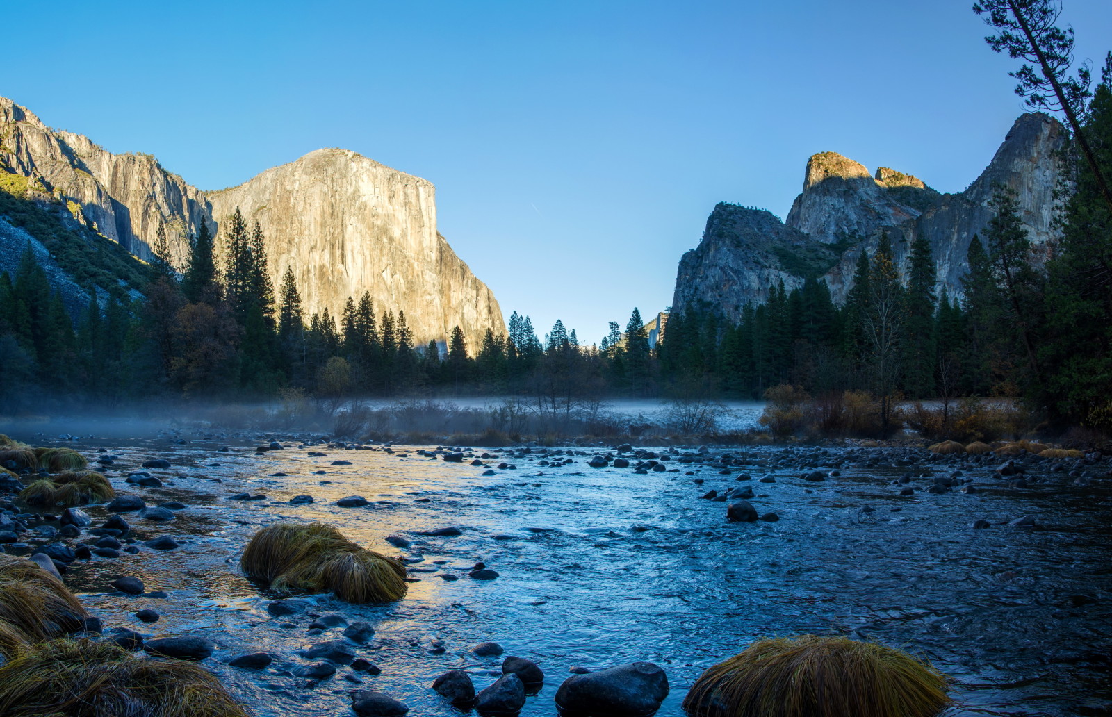 sungai, batu, pohon, Amerika Serikat, batu, CA, Taman Nasional Yosemite