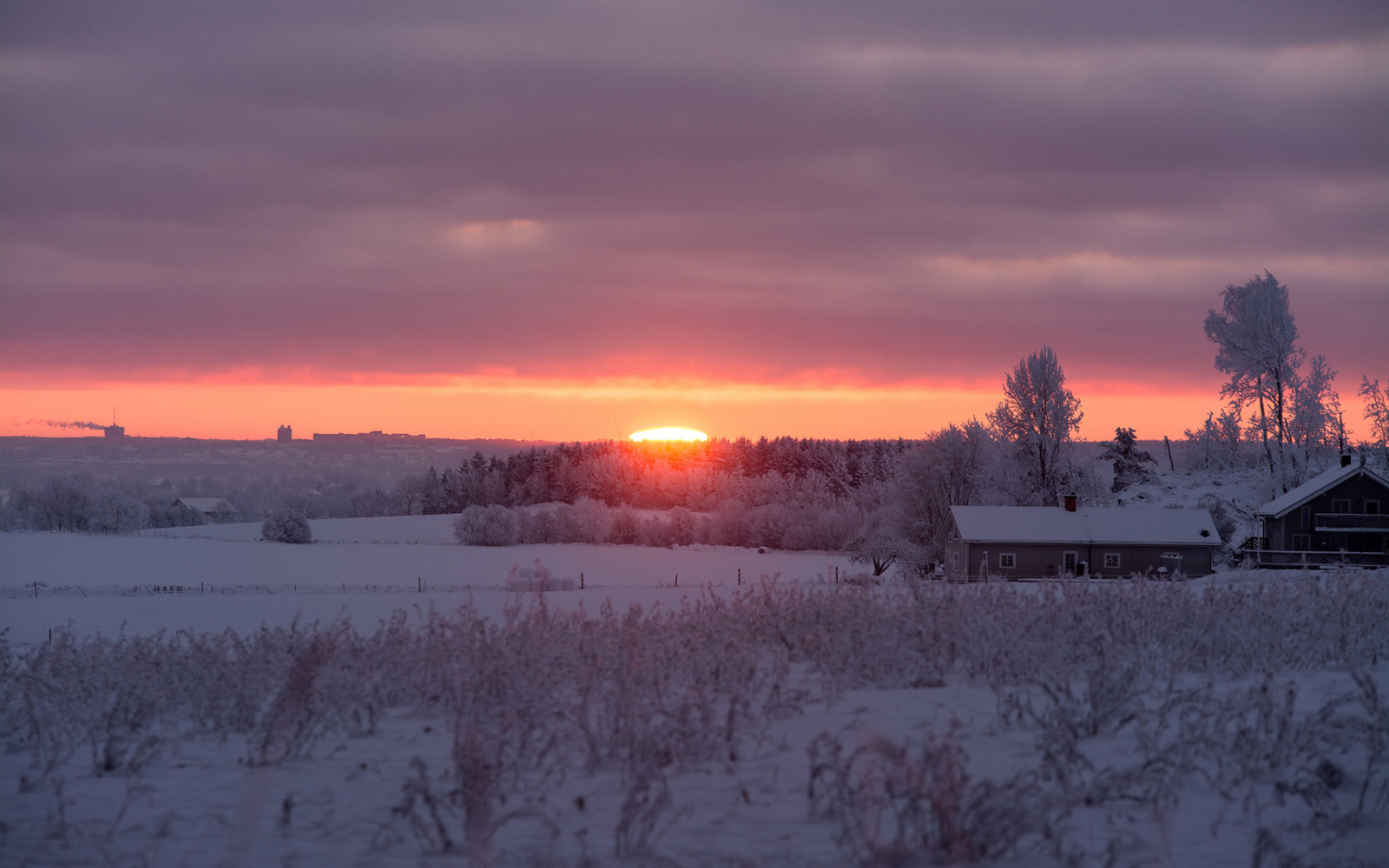 salju, musim dingin, pagi, Matahari terbit