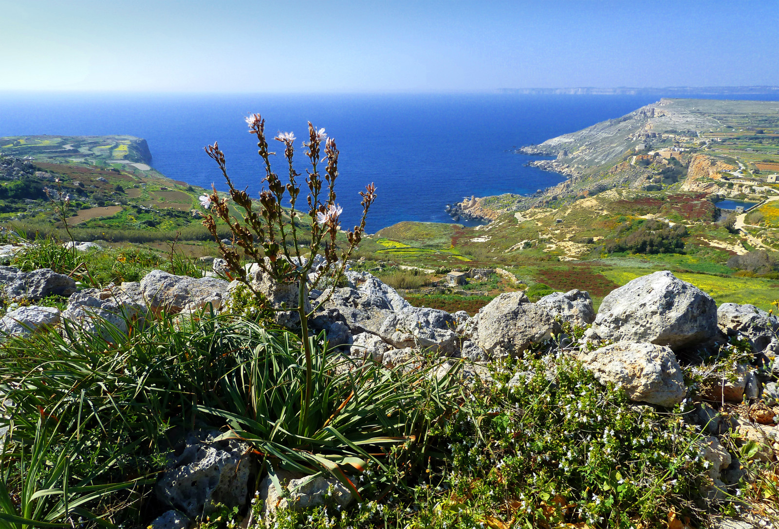 langit, Teluk, batu, laut, menanam, batu, Malta