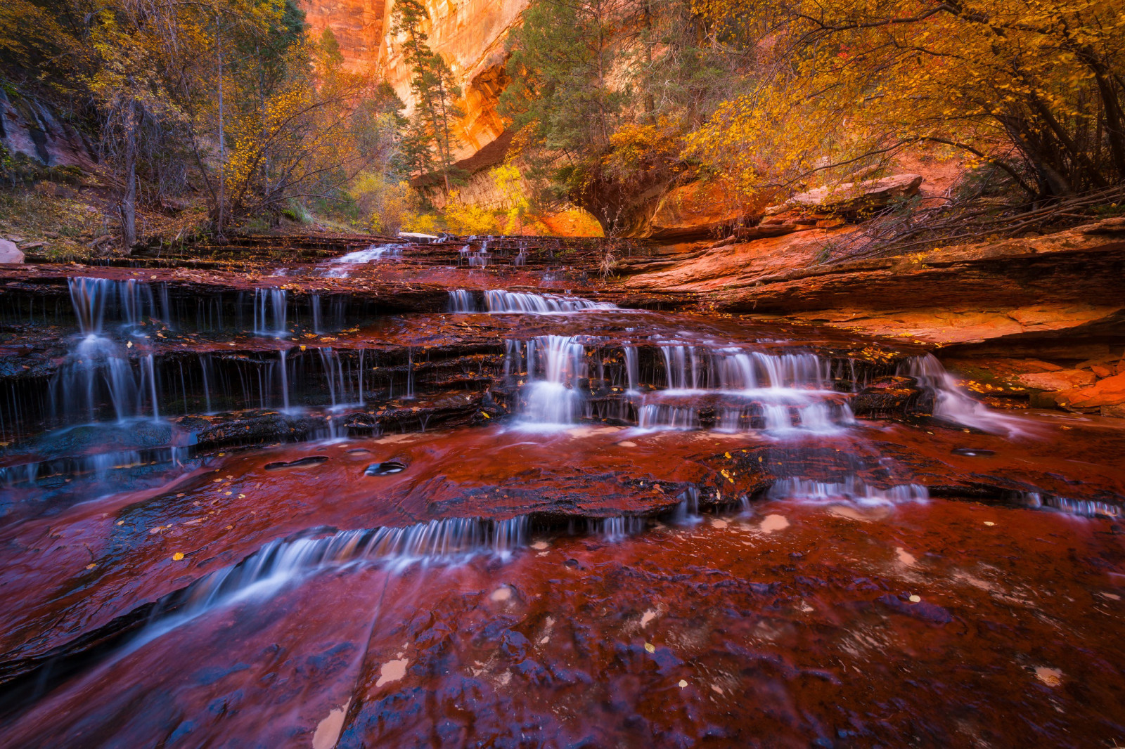 musim gugur, sungai, dedaunan, pohon, air terjun, Utah, Amerika Serikat, Taman Nasional Zion