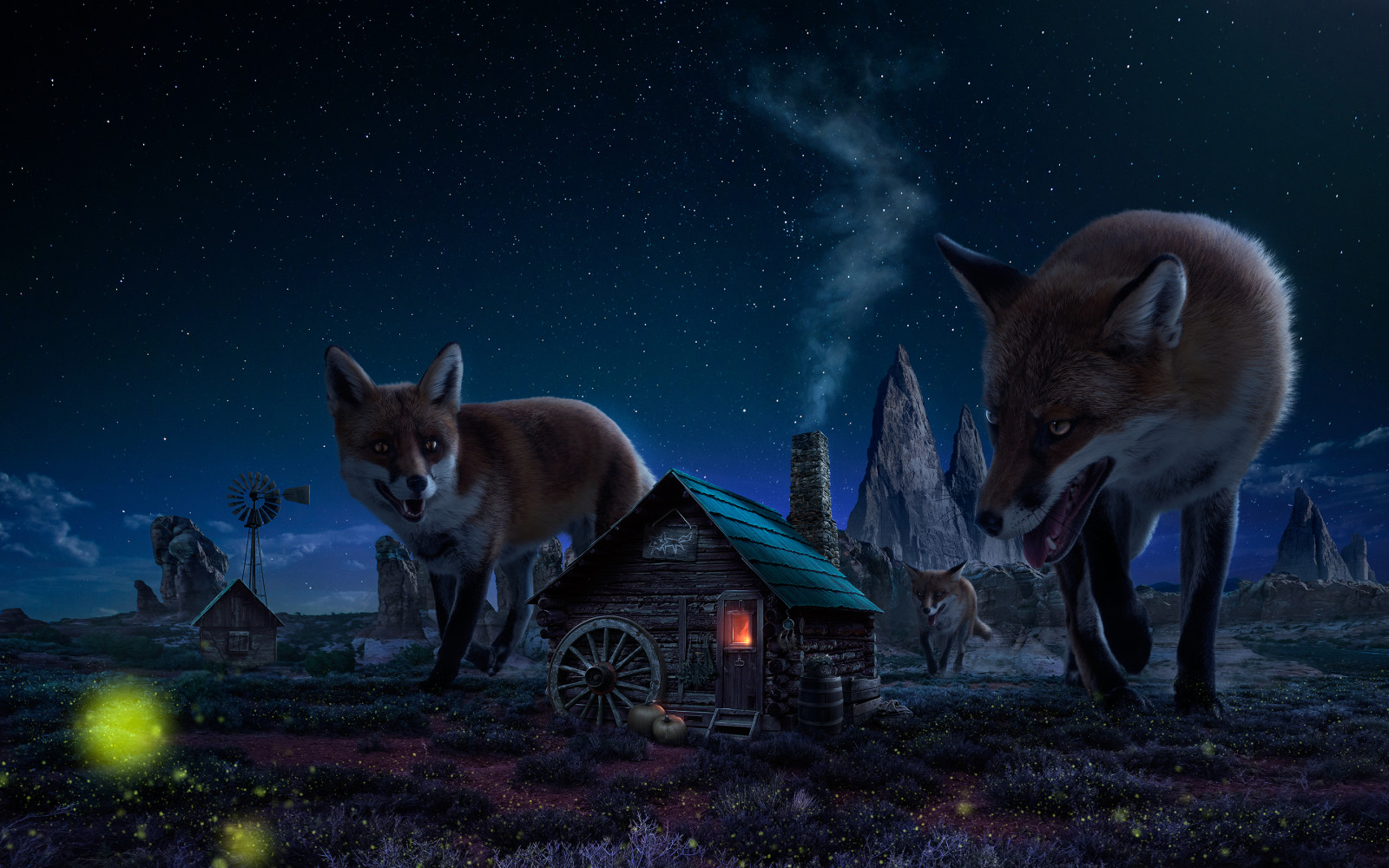 家, 夜, 図, 狐