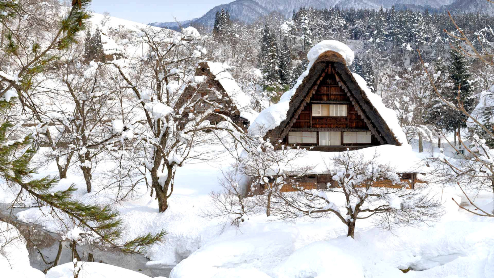 눈, 집, 겨울, 일본, 시라카와 고, 고카 야마