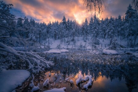 自然, 川, 雪, 冬
