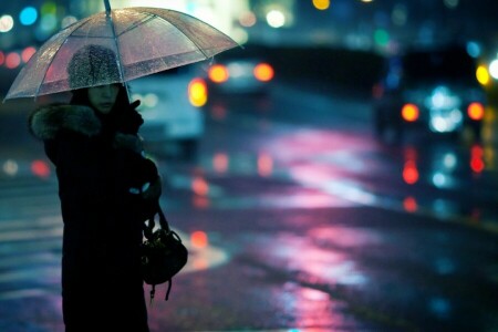 女の子, 都市, 夜, 傘