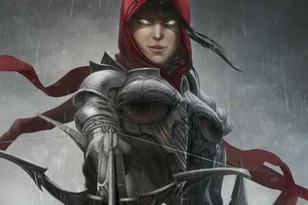 เกราะ, ศิลปะ, หน้าไม้, นักล่าปีศาจ, Diablo III, สาว, กระโปรงหน้ารถ, ฝน