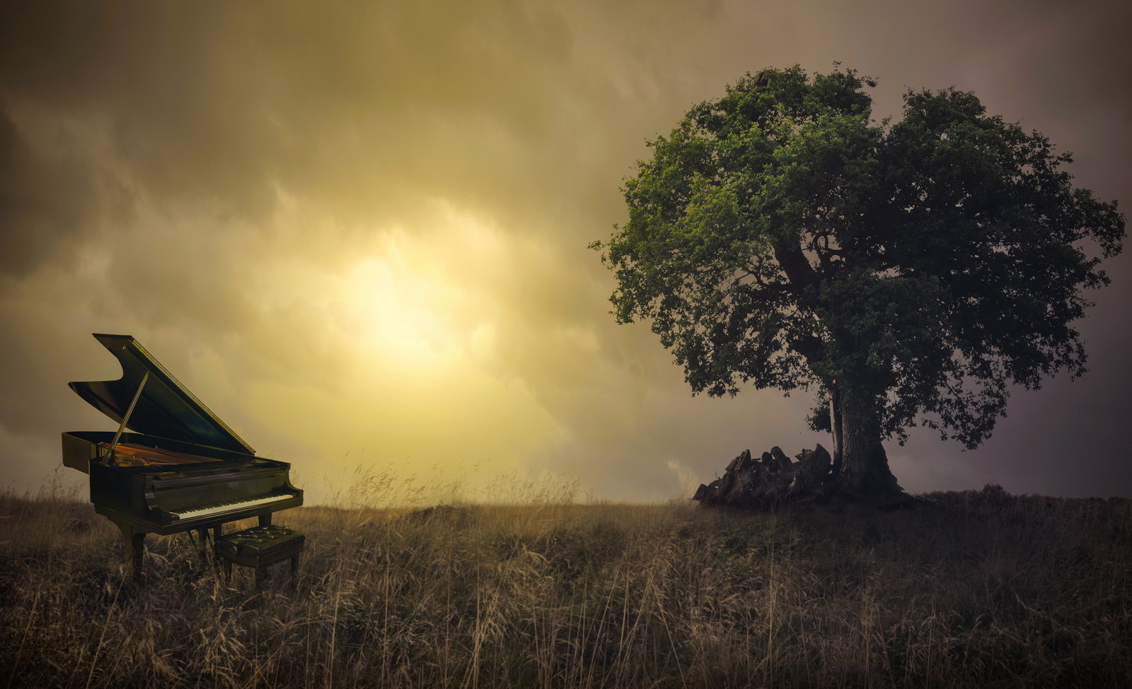 Thiên nhiên, cánh đồng, đàn piano