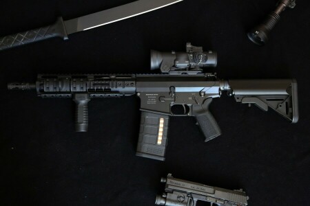 자동 소총, DMR, 플래시, 총, 칼, OA-10, 무기