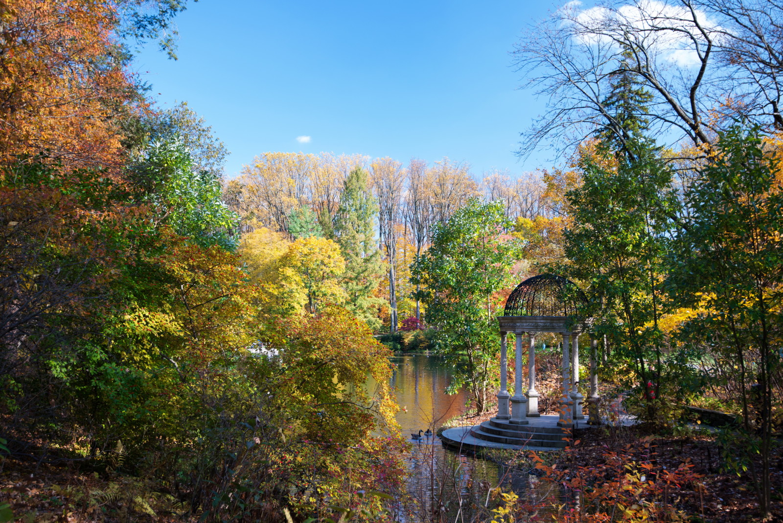 musim gugur, Taman, pohon, Amerika Serikat, kolam, Longwood, Kennett Square