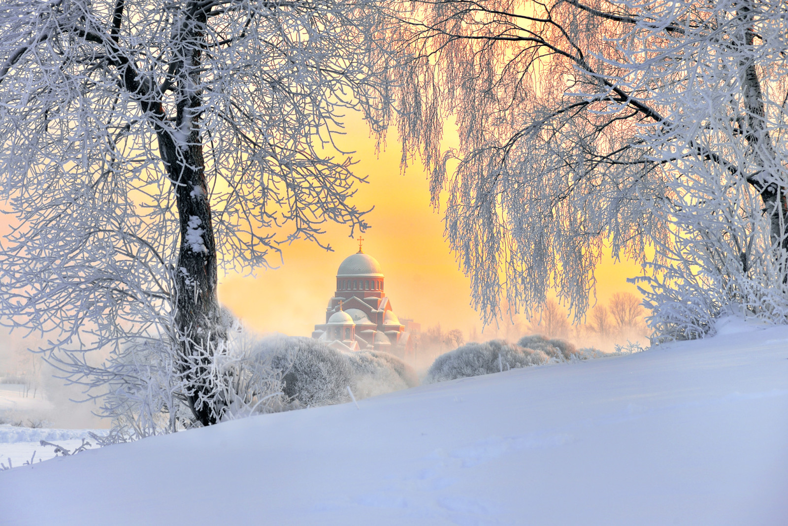 冬季, 圣彼得堡, 俄国, 寺庙, 蓬松的雪, 一月的天空