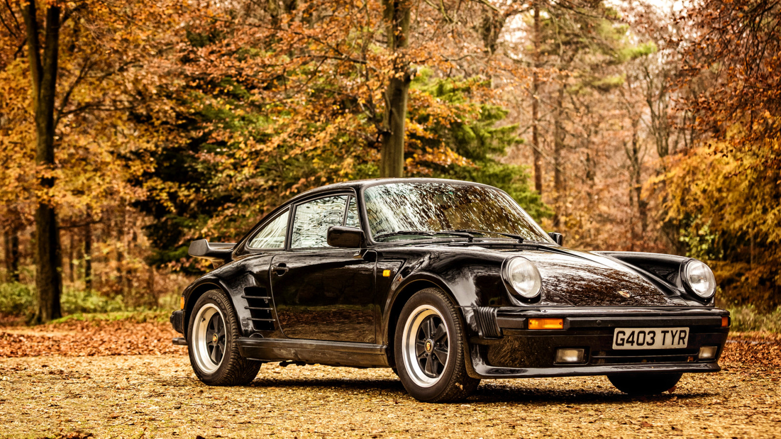 coupe, Porsche, 911, bộ tăng áp, phiên bản giới hạn, 1989, 930