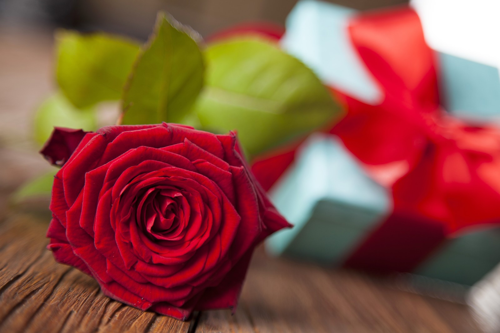 빨간, 사랑, 낭만적 인, 선물, 장미, 발렌타인 데이
