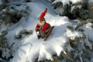 산타 클로스, 나무, 겨울