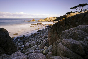 바닷가, 퍼시픽 그 로브 에이커, 바위, 돌, 나무, USА