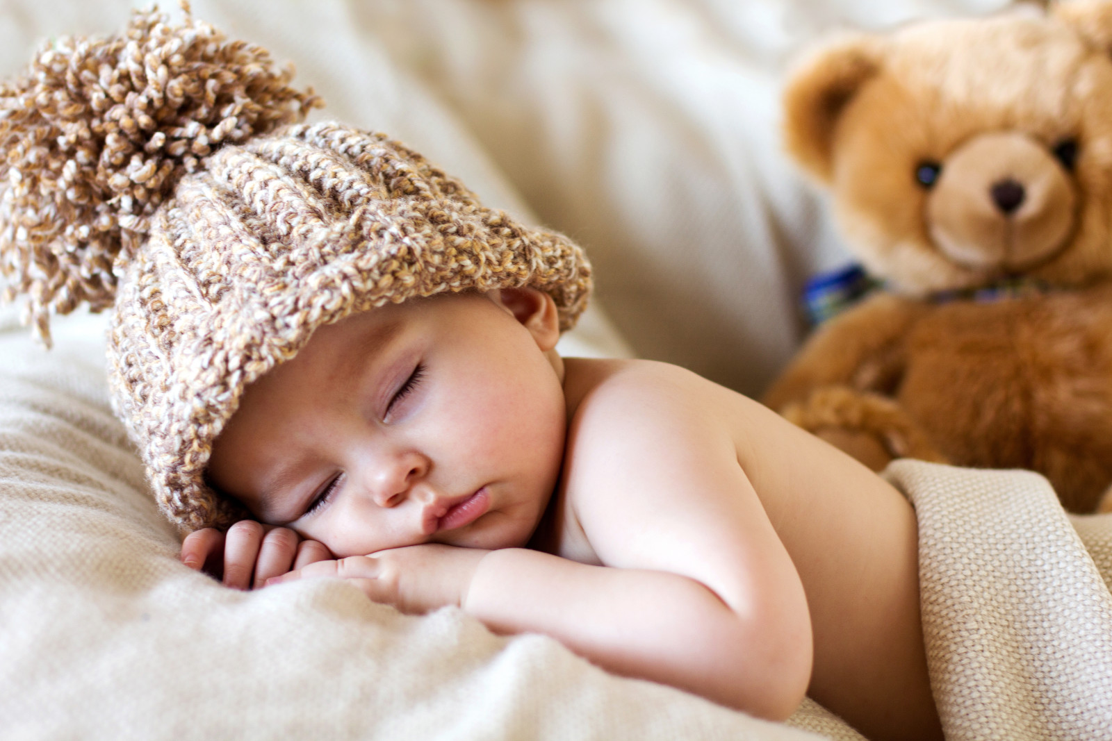 bayi, beruang, topi, imut, anak, mainan, teddy, tidur