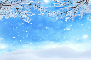 ป่า, ธรรมชาติ, หิมะ, เกล็ดหิมะ, ต้นไม้, ฤดูหนาว