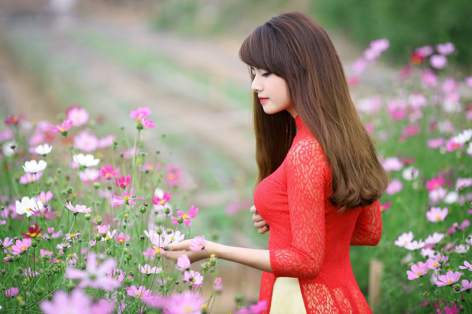 女孩, 手, 花卉, 头发, 嘴唇, 连衣裙, 红色礼服