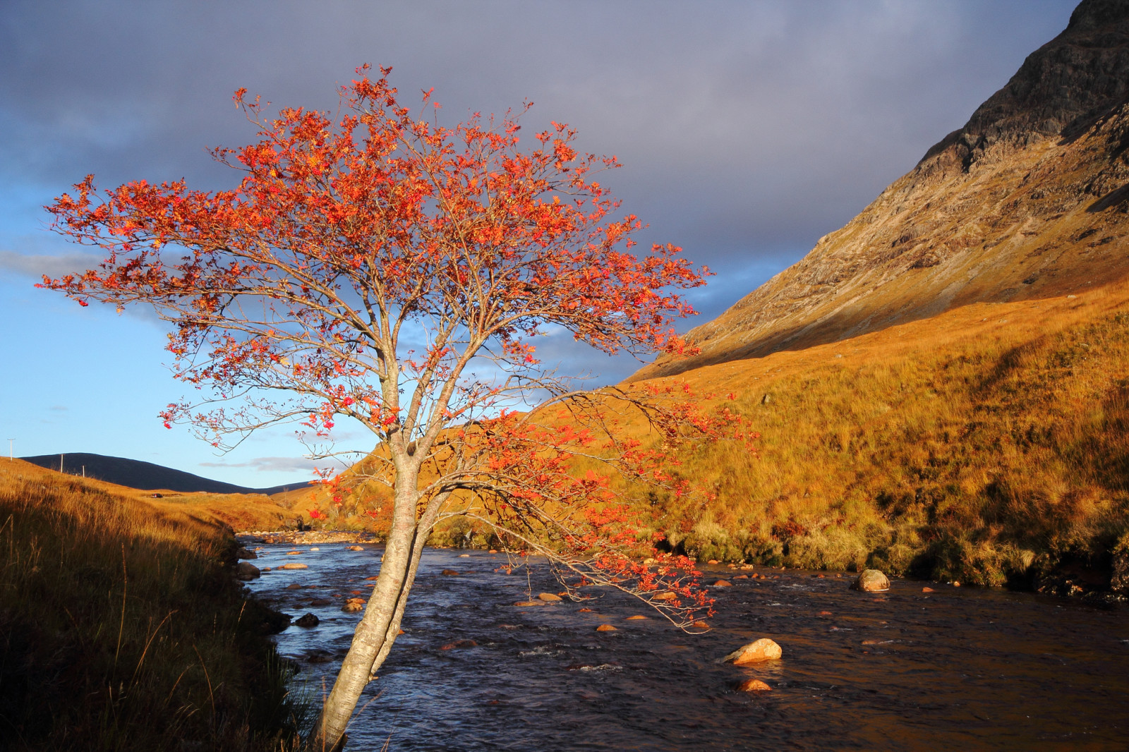 树, 秋季, 河, 石头, 山脉