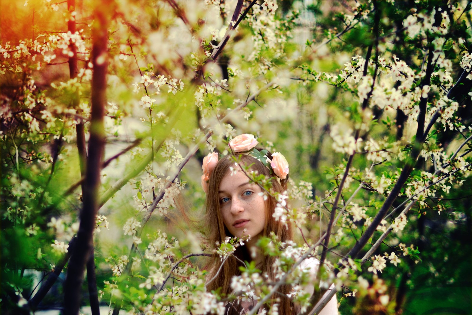 가지, 소녀, 꽃들, 갈색 머리, 파란 눈