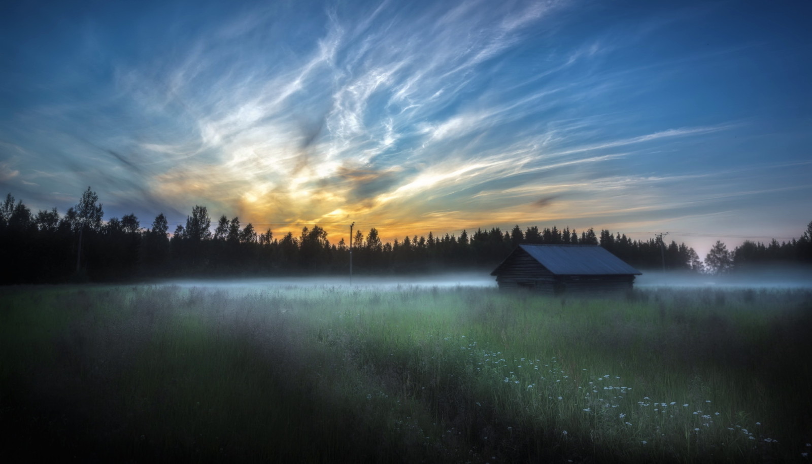 nhà ở, cánh đồng, buổi sáng, sương mù