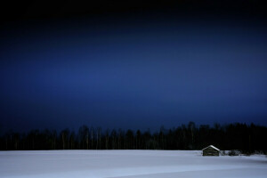 핀란드, 집, 밤, 눈, 나무, 겨울