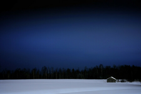 フィンランド, 家, 夜, 雪, 木, 冬