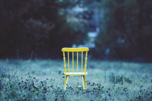 의자, 잔디, 마당