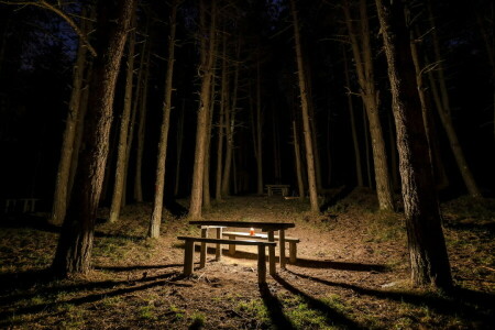 ベンチ, キャンドル, 森林, 夜, テーブル