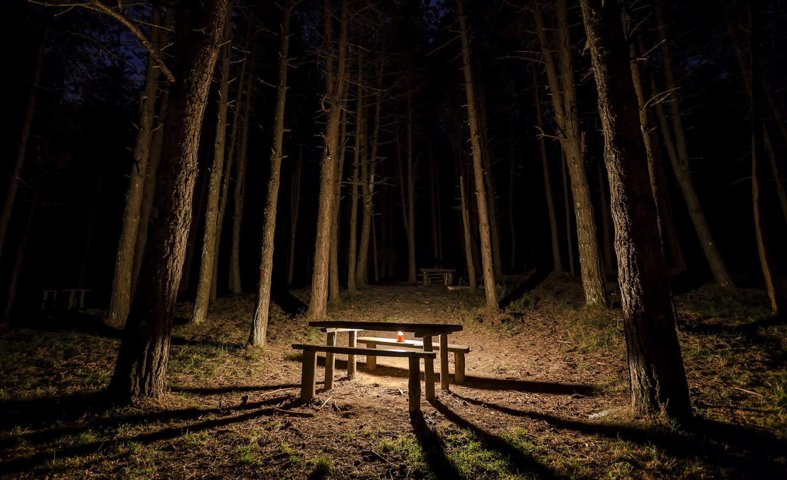 hutan, meja, malam, lilin, bangku