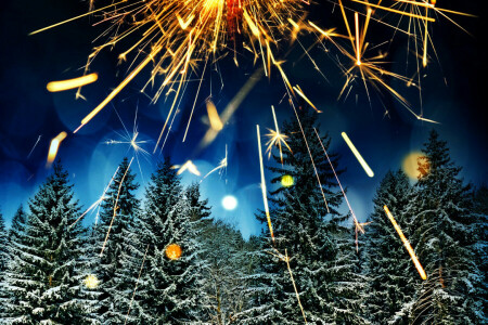 花火, 森林, まぶしさ, 休日, ライト, 新年, 夜, 敬礼