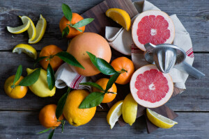 柑橘類, グレープフルーツ, レモン, みかん