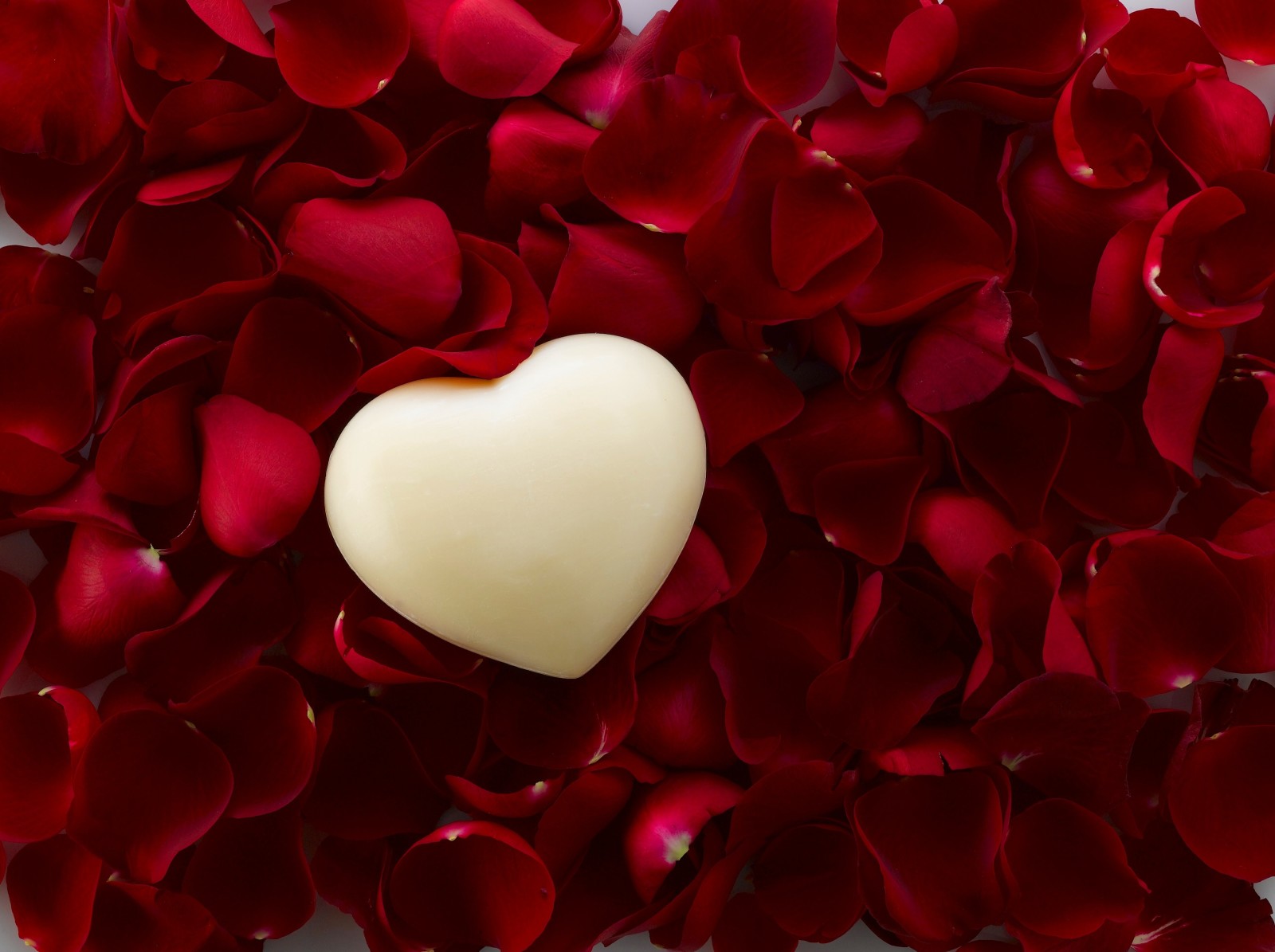 ความรัก, โรแมนติก, วันวาเลนไทน์, ดอกกุหลาบ, หัวใจ, กลีบดอก