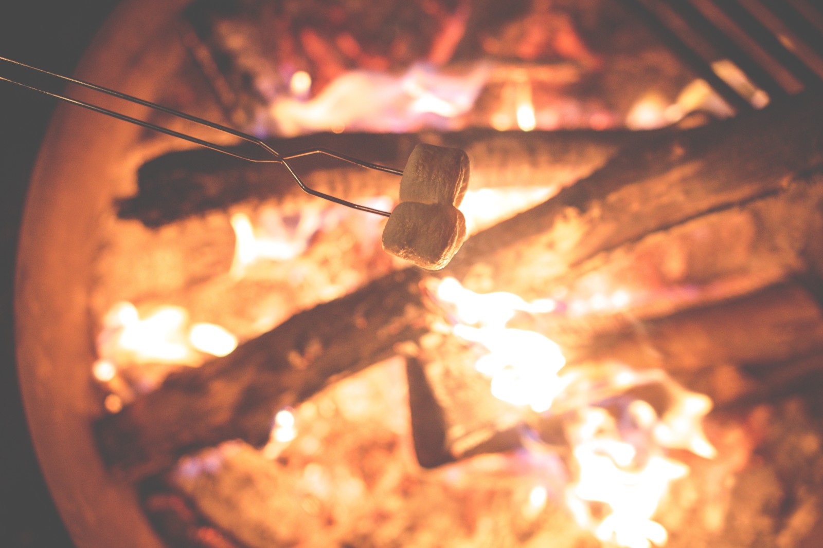 kayu, api, di luar rumah, marsmalow, log, api, api, Api unggun