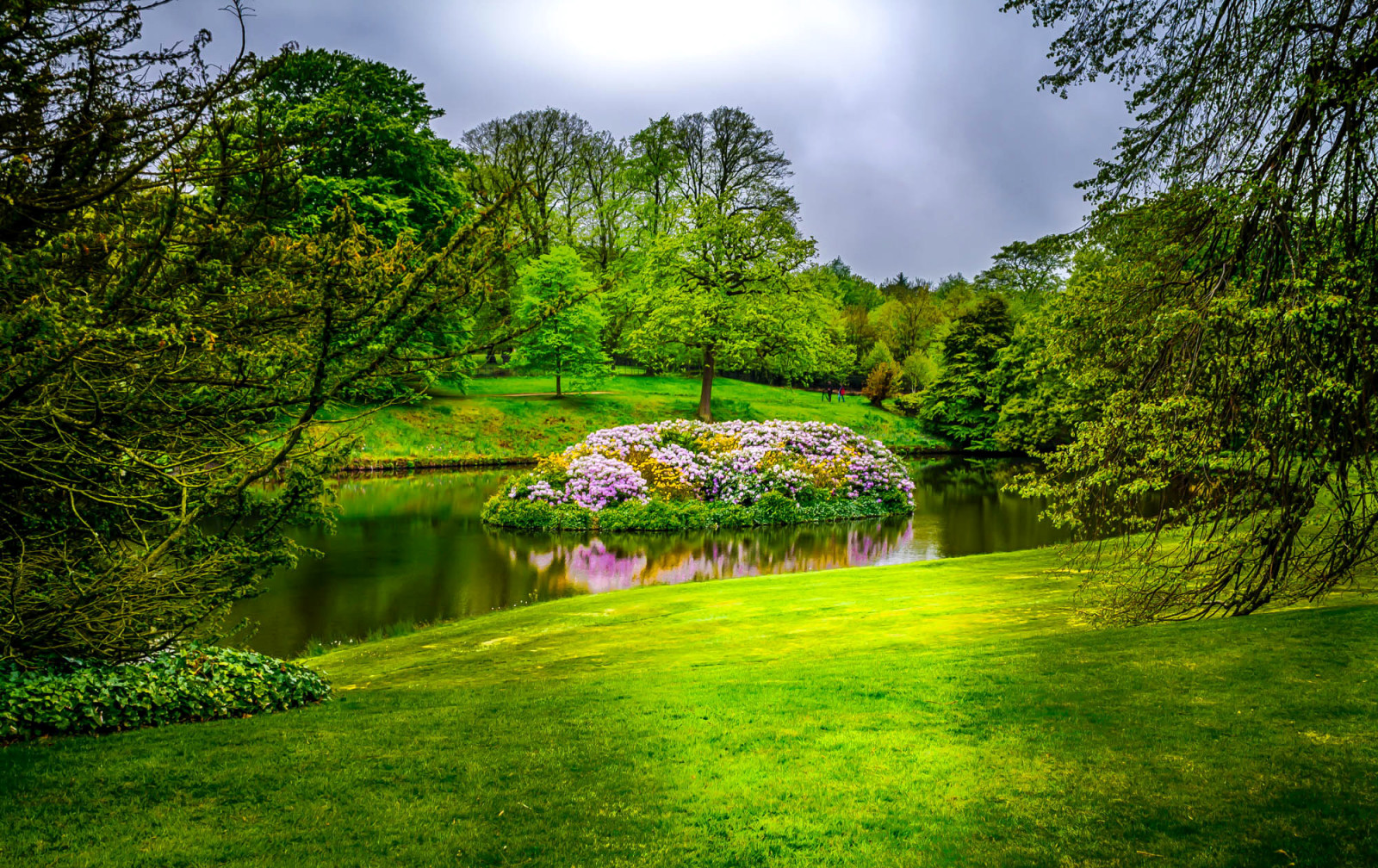 rumput, Taman, pohon, pulau, sayuran hijau, bunga-bunga, Inggris, kolam