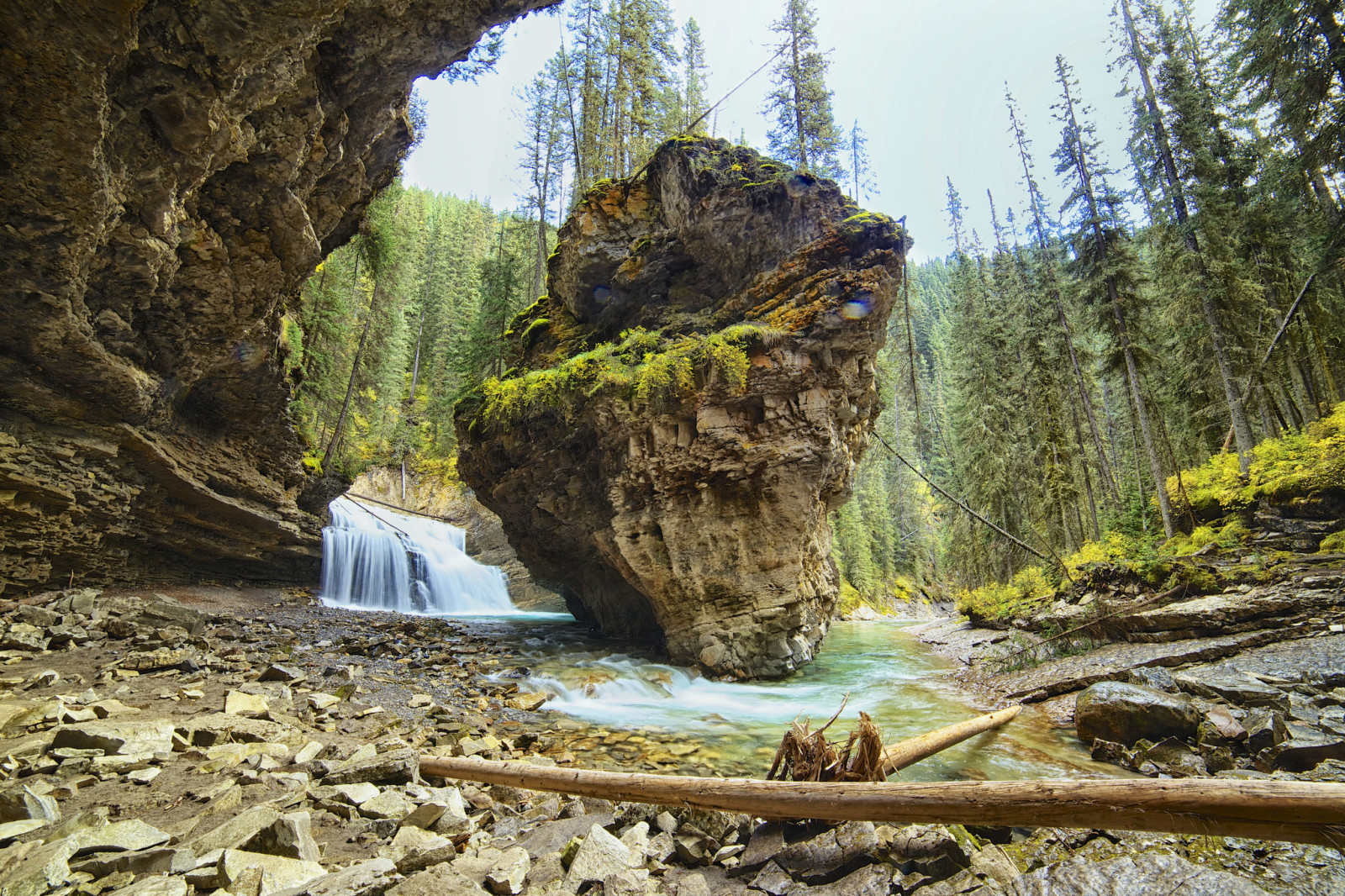 ป่า, แม่น้ำ, น้ำตก, แคนาดา, อัลเบิร์, ภูเขา, อุทยานแห่งชาติ Banff, โขดหิน