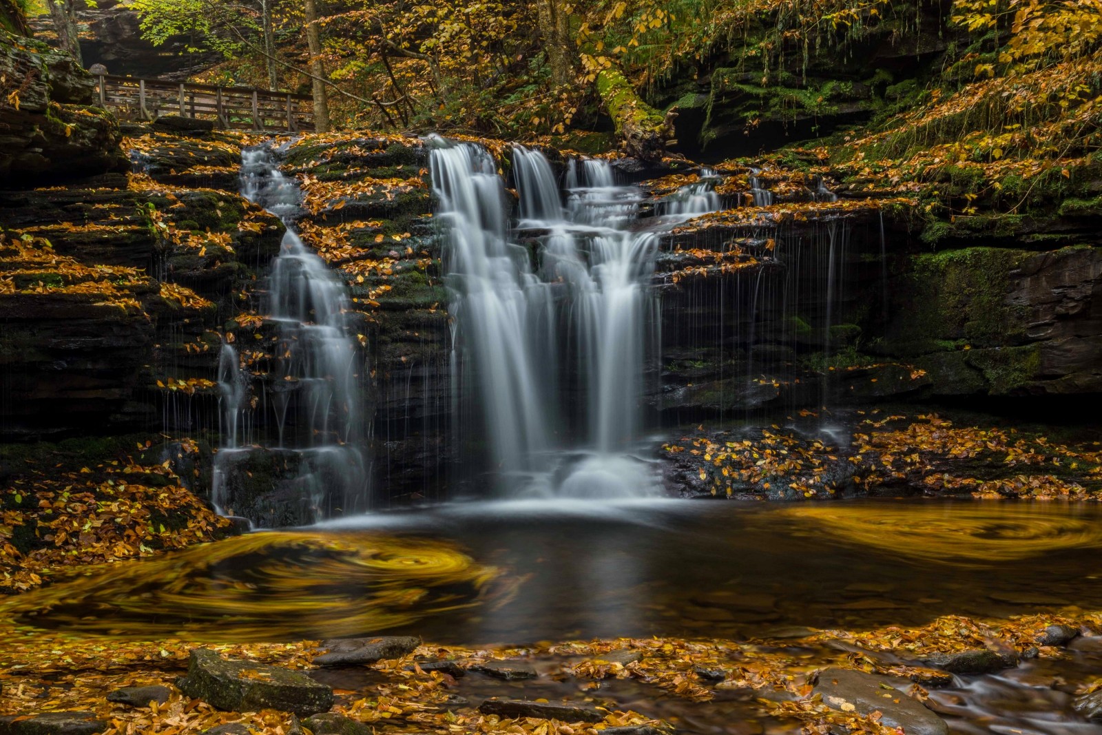 秋季, 瀑布, 树叶, 宾夕法尼亚州, 级联, 功放, 里基茨格伦州立公园