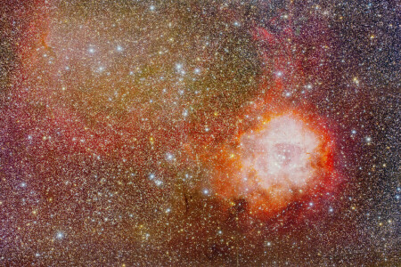 별자리에서, 성운, NGC 2237, 콘센트, 장미 매듭, 우주, 일각수