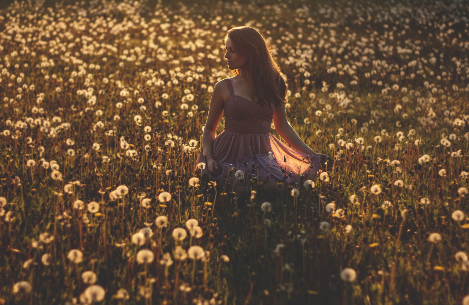 con gái, cánh đồng, bóng, trang phục, bóng tối, cánh đồng hoa
