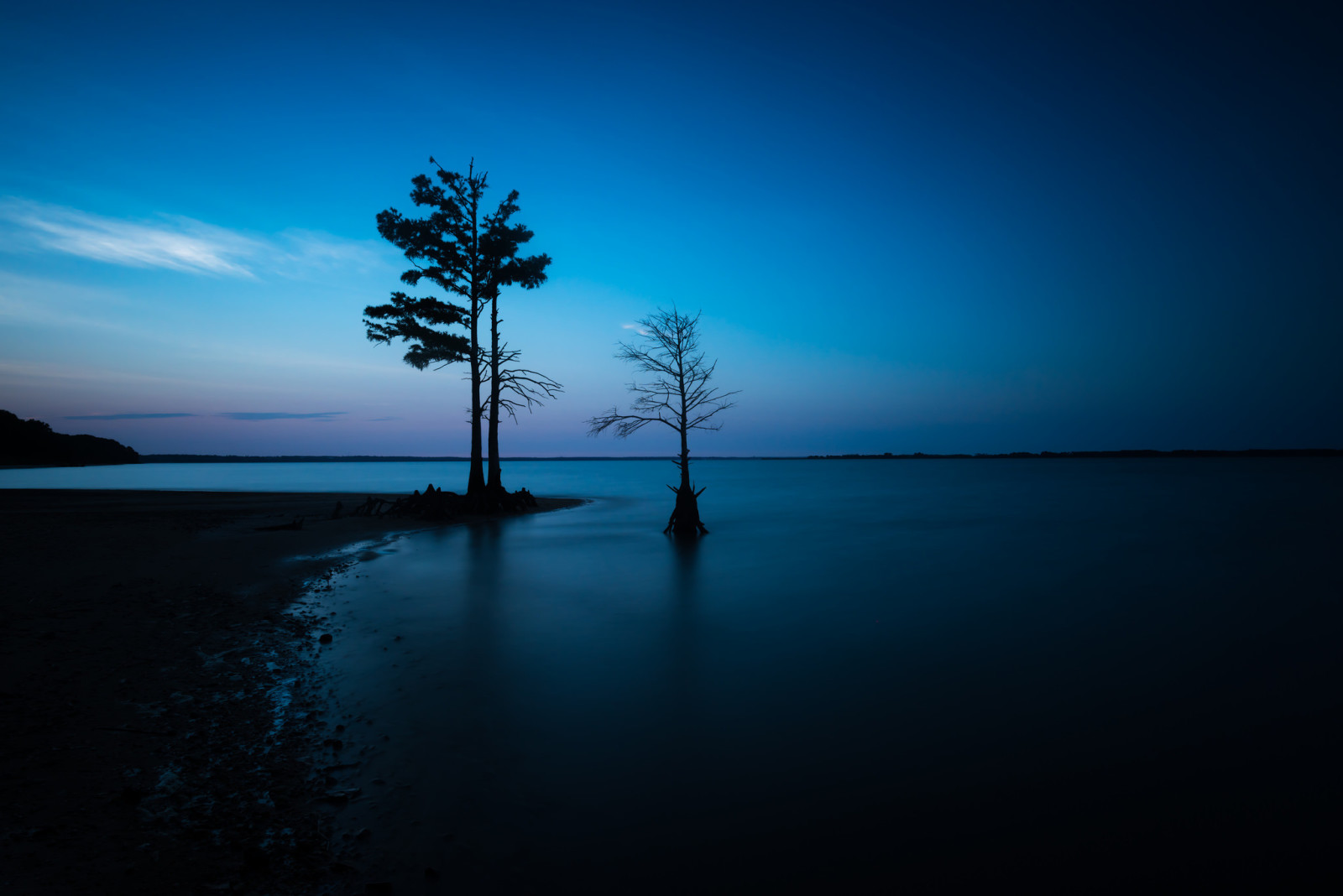 ต้นไม้, ทะเล, กลางคืน