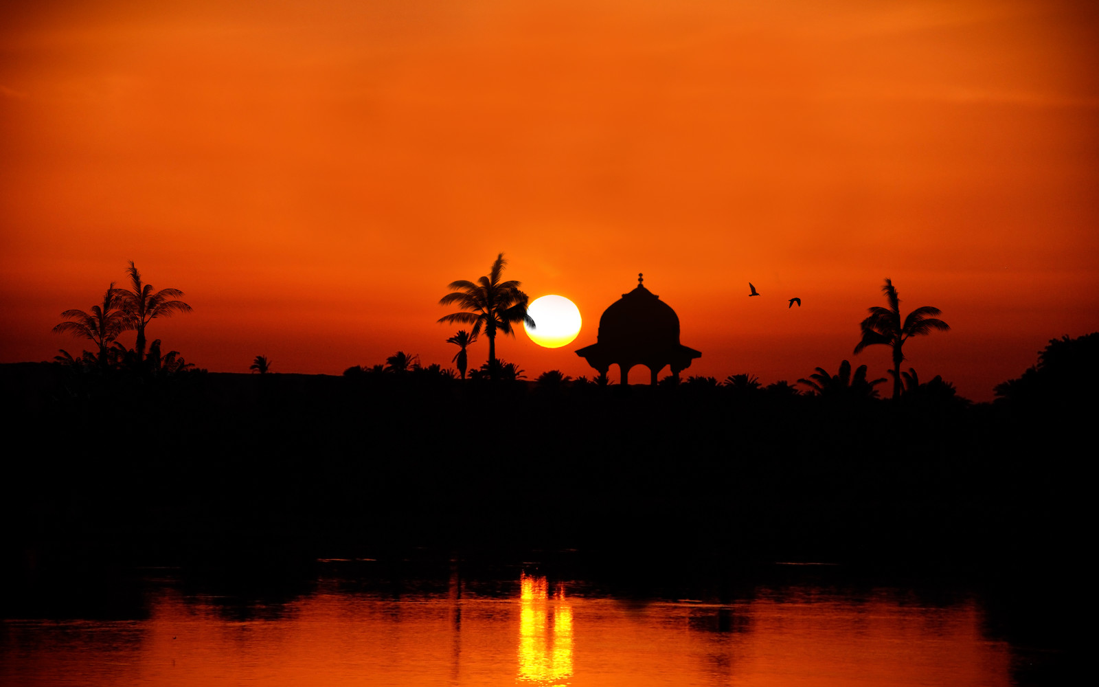 sungai, matahari terbenam, pohon-pohon palem, Mesir, Sungai Nil menuju Assuan