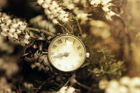 가지, 다이얼, 꽃들, 바늘, 손목 시계