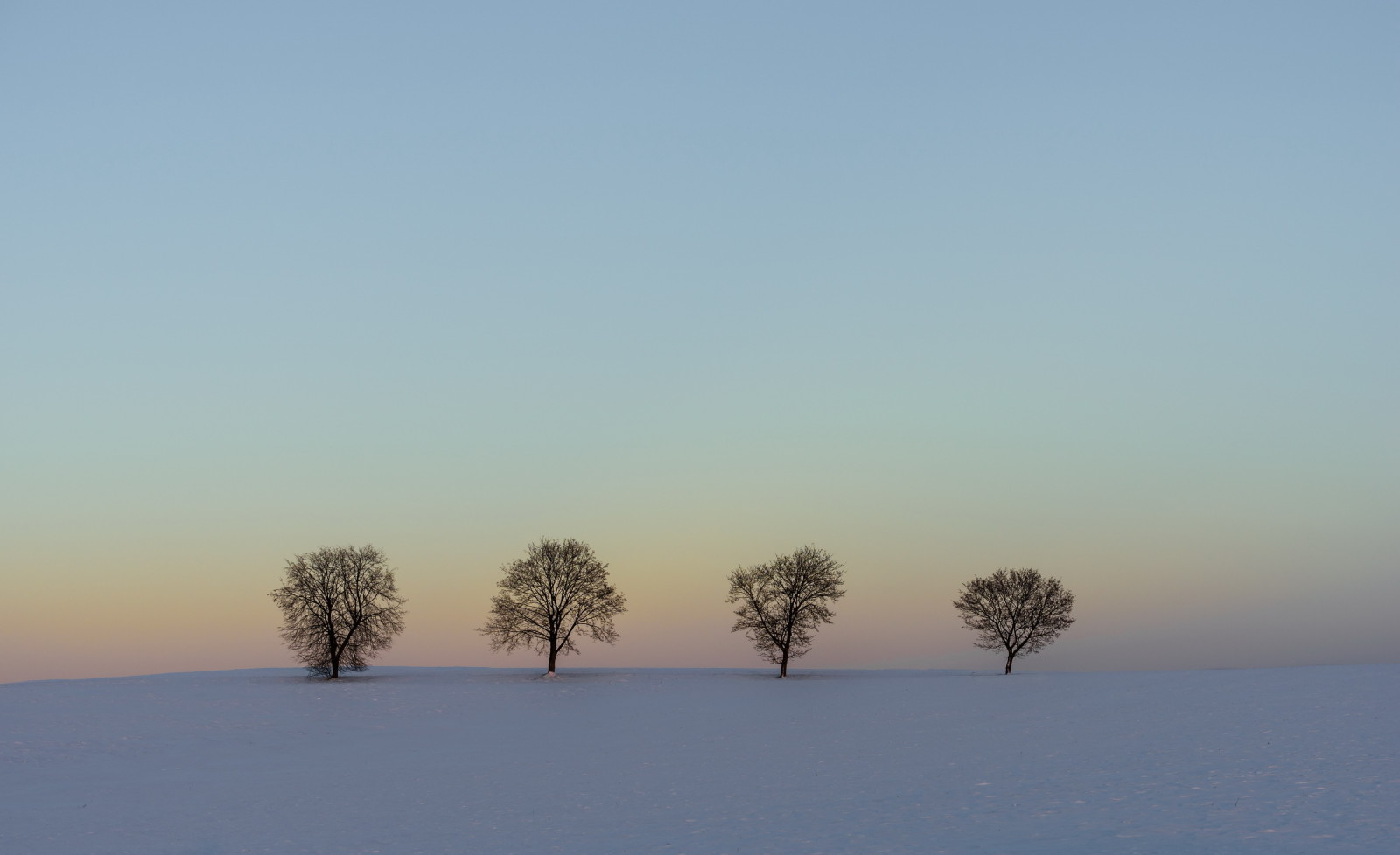 雪, 冬, 風景, 木, フィールド