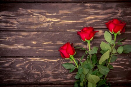 花束, 赤, 赤いバラ, ロマンチック, バラ, 木材