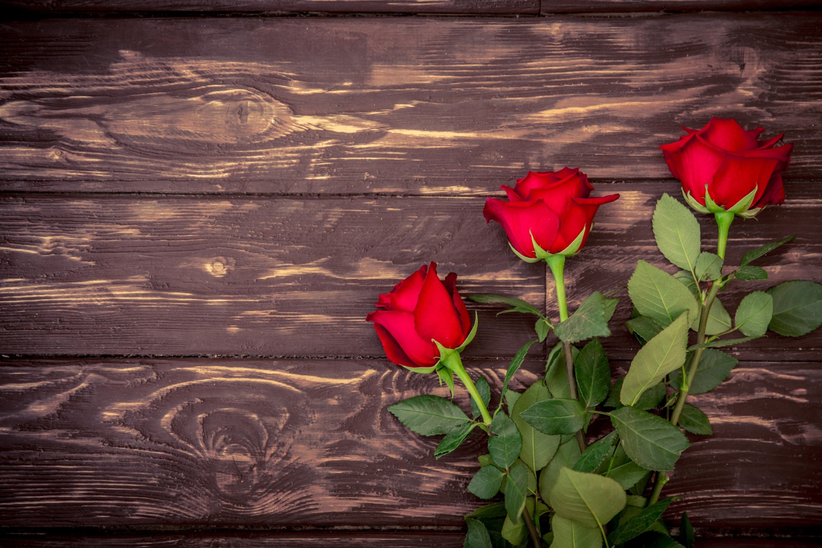 木材, 赤, ロマンチック, バラ, 赤いバラ, 花束