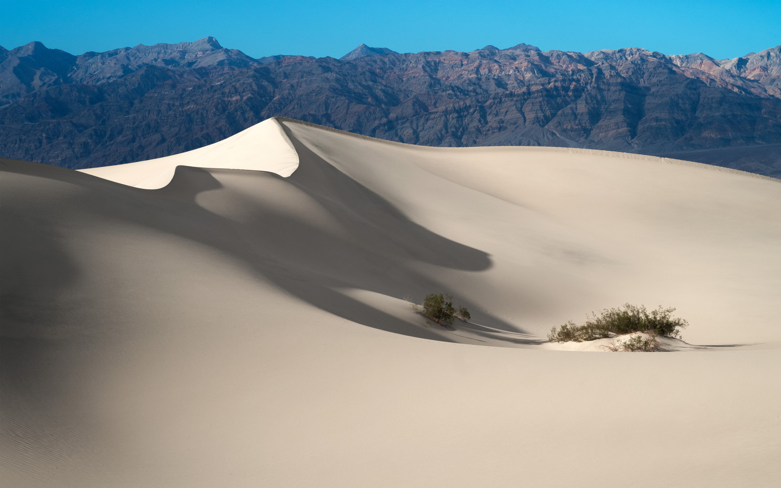 Gurun, Amerika Serikat, pasir, California, bukit pasir